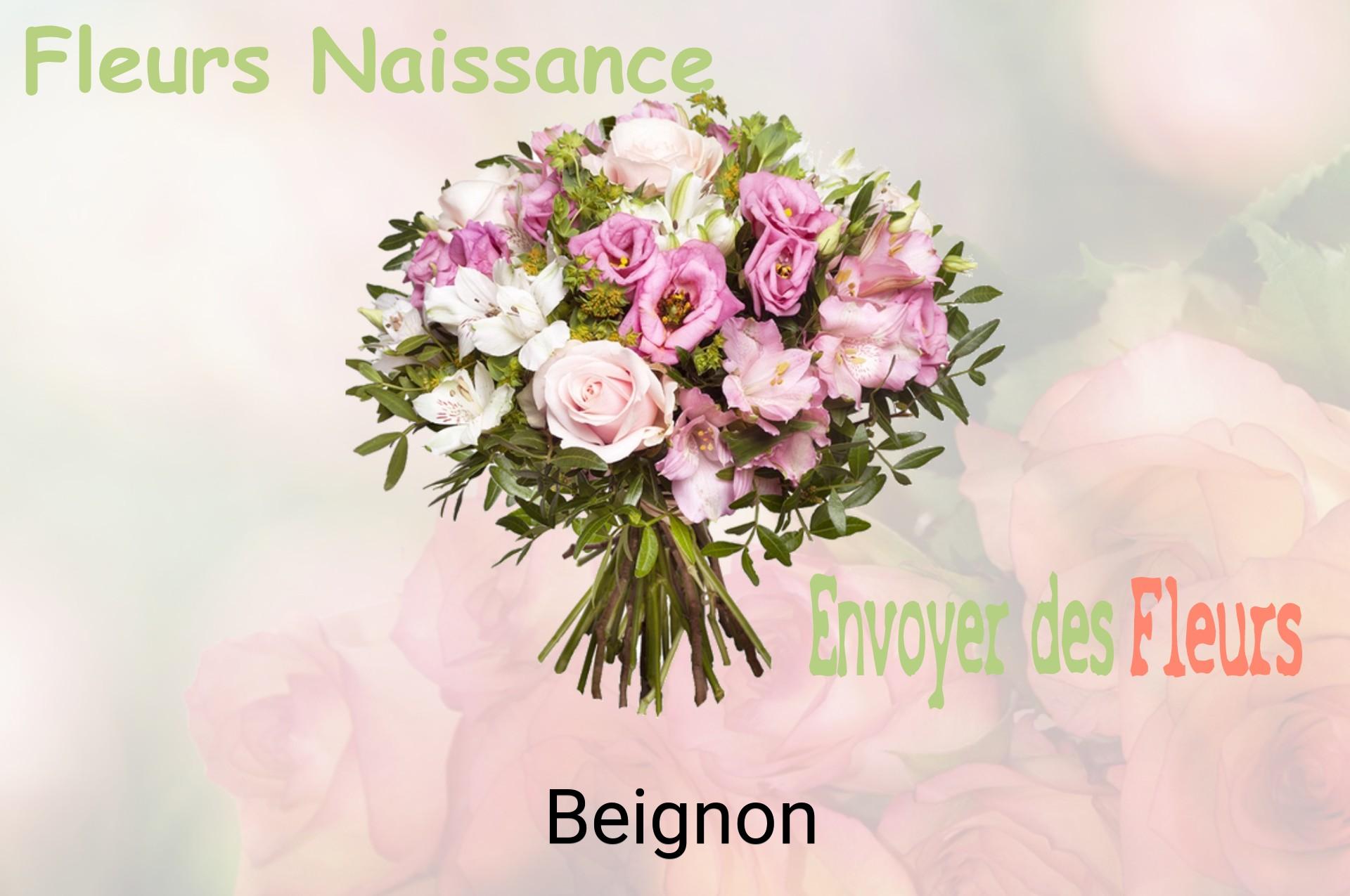 Bouquet de fleurs de naissance livré à Beignon